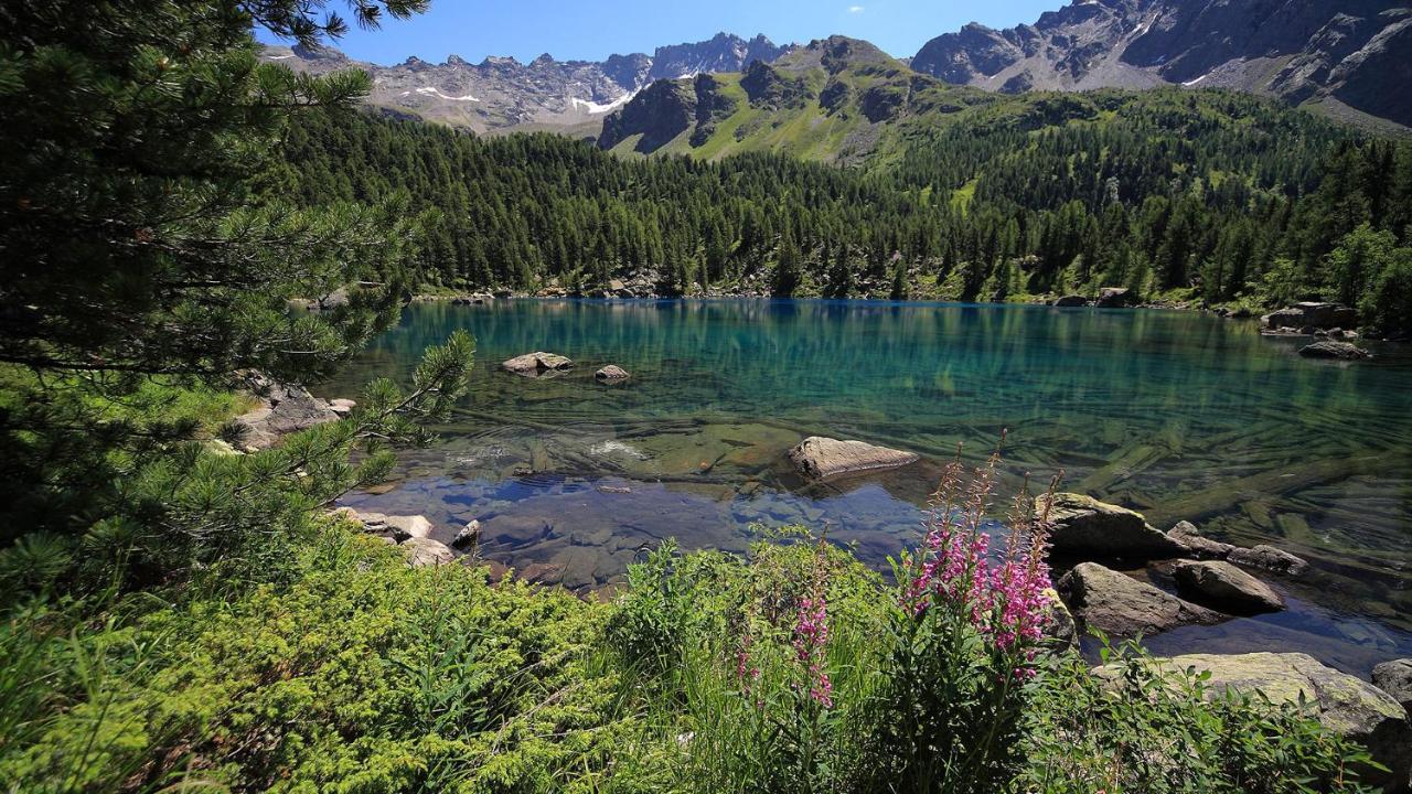 Ca' Del Borgo, Rooms & Suites Poschiavo Dış mekan fotoğraf
